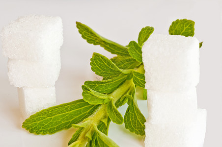 甜菊糖对糖的草药支持甜菊糖的支持背景图片