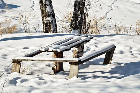 被雪覆盖的长凳跟桌子图片