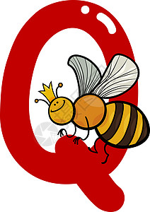 Q蜂的q字母卡通插图图片