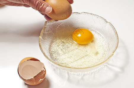 动物鸡的卵用作食物图片