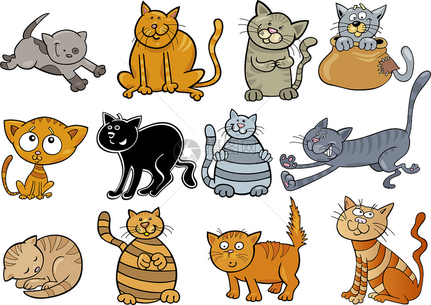 漫画插图滑稽的十二只猫图片