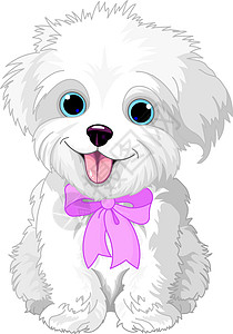 装着粉红色丝带的可爱白大腿小狗背景图片