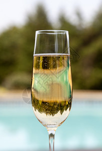 优雅的白葡萄酒或香槟的白葡萄酒和游泳池旁的香槟图片