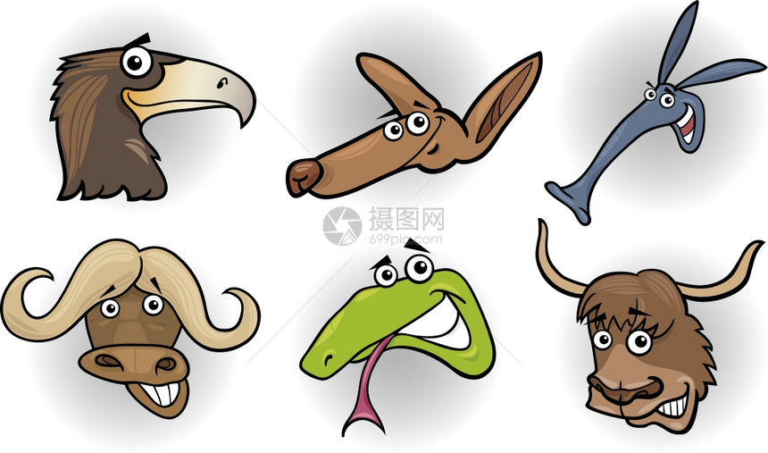 不同有趣的野兽头形色的漫画插图鹰袋鼠ardvk水牛蛇和山图片