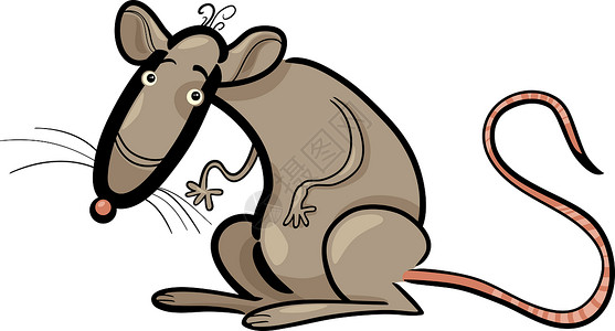 老鼠卡通老鼠动物格的幽默漫画插图背景
