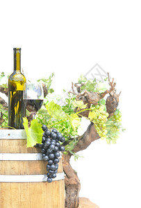有葡萄和酒瓶的孤立葡萄园图片