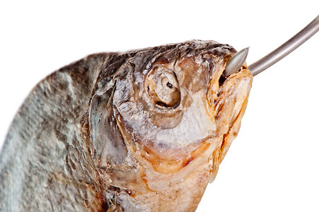 咸鱼头嘴里有钩子白底鱼头图片