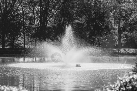 阳光明媚的池塘喷泉背景图片
