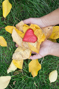 秋天与红心树高清图片素材