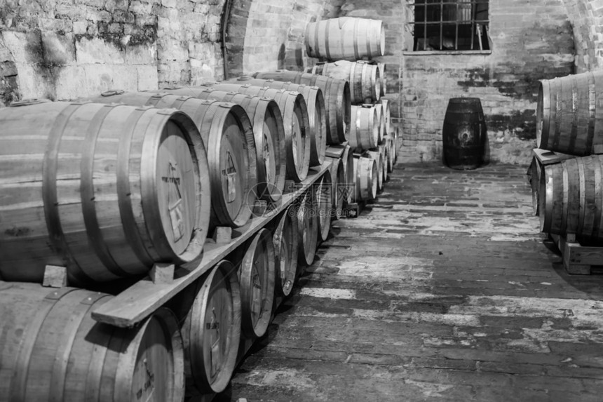 在valdorcia专门生产葡萄酒的区图片