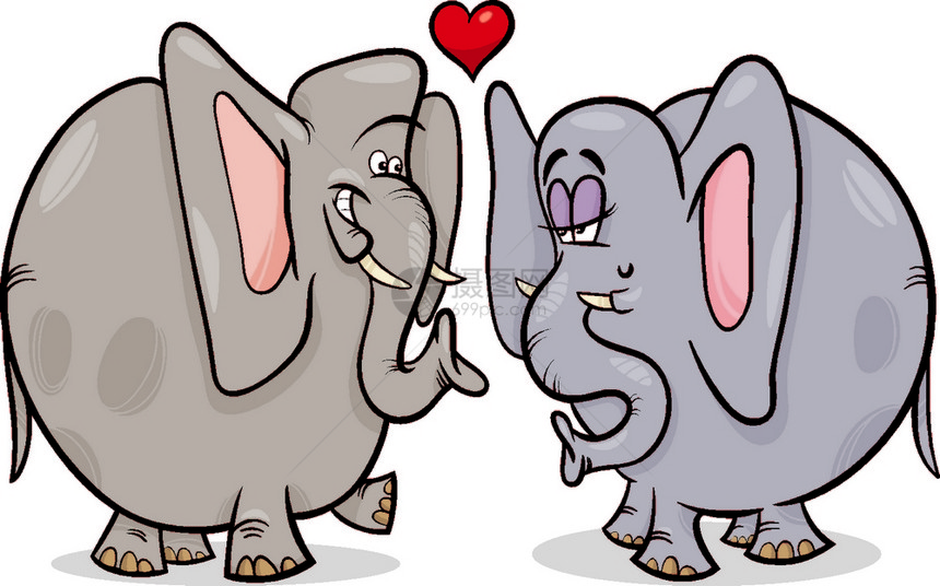 有趣的大象情侣恋爱图片