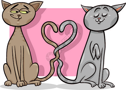 有趣的猫情侣恋爱图片