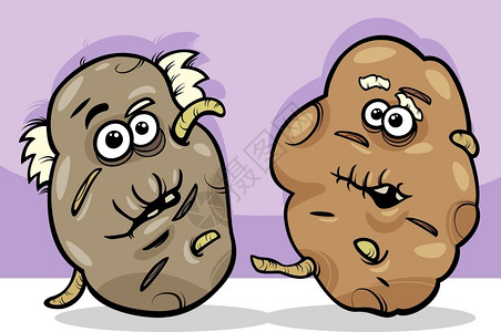 有趣的漫画老马铃薯或土豆蔬菜食品人物漫画插图图片