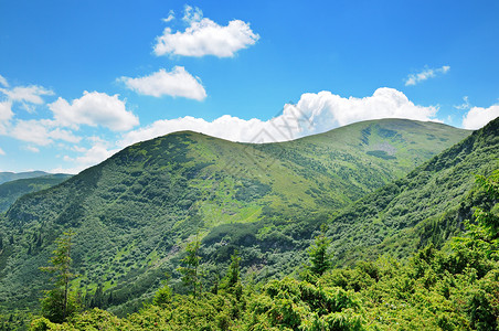 山岳覆盖着树木和蓝天春天高清图片素材