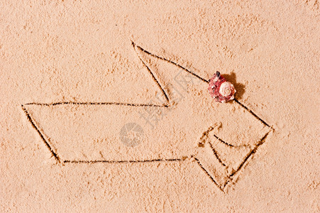 鲨鱼在湿沙上的箭头形象背景图片