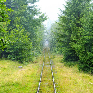 森林中的长铁路图片