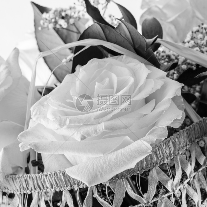 白玫瑰花朵束图片