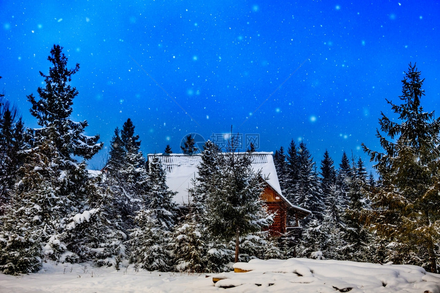 冬季雪覆盖了山边的圣诞树冬天山屋图片