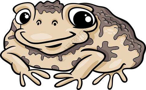 青蛙插图图片