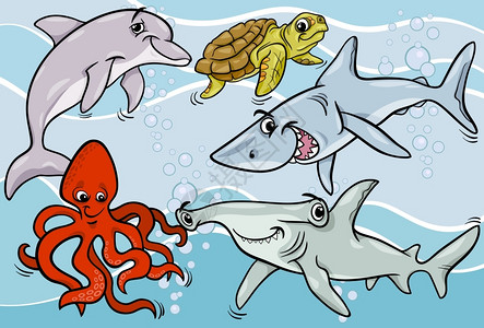 有趣的海洋生物鲨鱼海豚章鱼图片