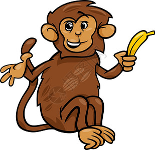 香蕉猴子插图图片