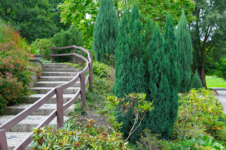 花园铁艺栏杆带楼梯和灌木的舒适公园背景