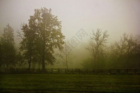 早晨雾中的乡村
图片