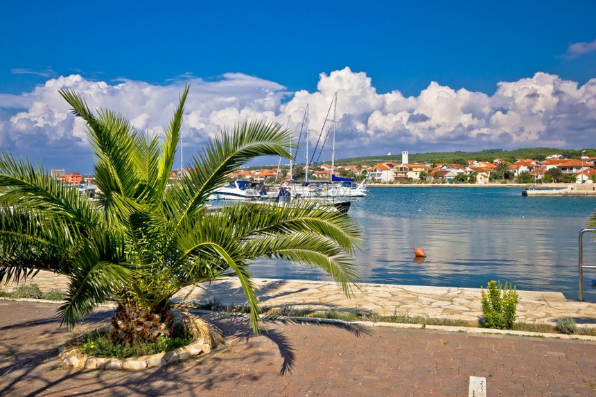 Dalmti水边和港景的binje村croati图片