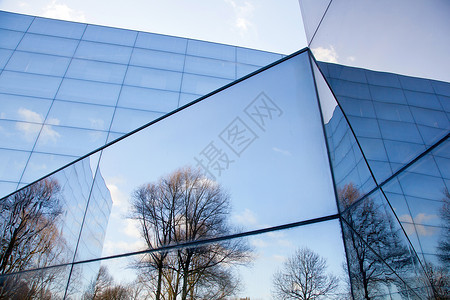现代办公大楼的玻璃面罩有树木和蓝天空的反光图片