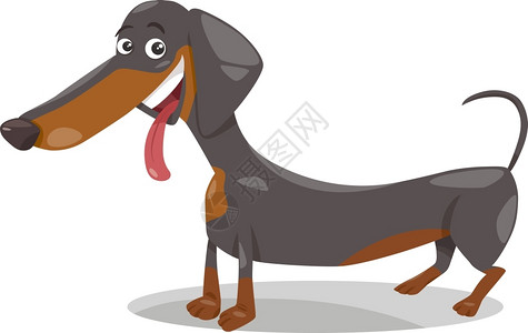 漫画插图滑稽纯种的达赫松狗图片