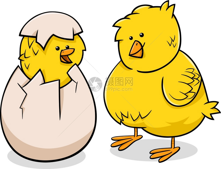 漫画插图可爱的小黄鸡或从蛋孵出的小图片