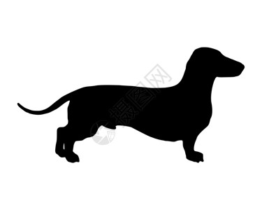 一只短腿小狗的黑色轮廓图片