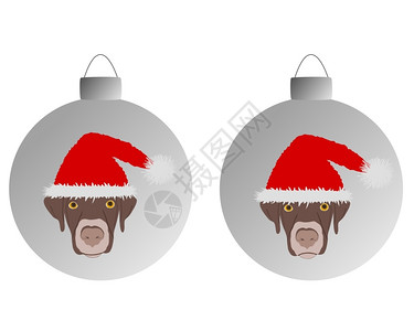 波波圣誕快樂上戴着红色圣卡帽的笑狗设计图片