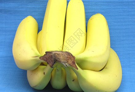 蓝背景面前的香蕉图片