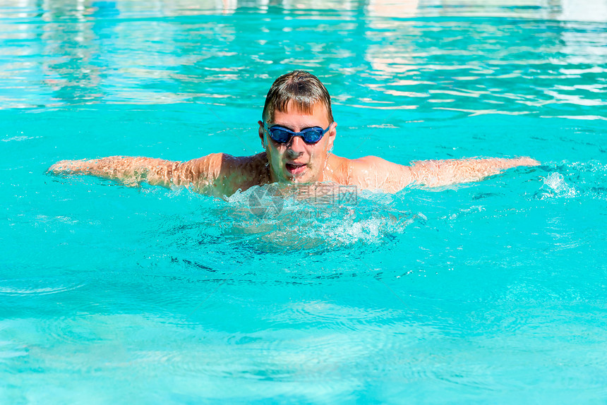 男运动员在游泳池中动蝴蝶运图片