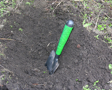 在花园里挖土用的小铲子图片