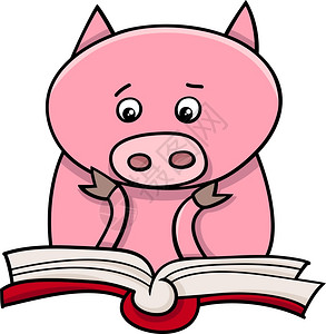 滑稽猪动物品学习和阅读一本书的漫画插图背景图片