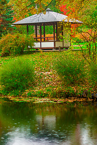 池塘旁的小亭子背景图片