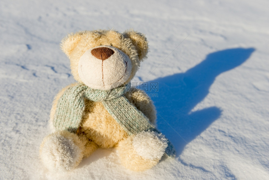 雪中披着围巾的泰迪熊图片