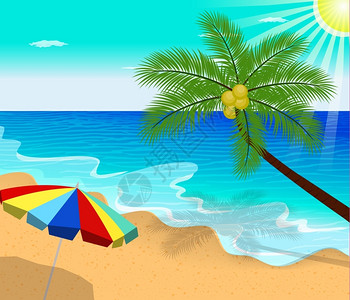 热带海滩配有棕榈树矢量插画图片