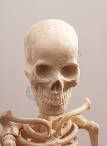 人类骨骼背景图片