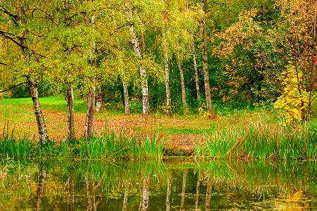 湖边森林公园美秋天风景图片