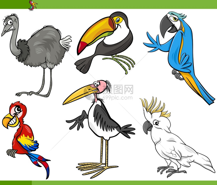 有趣的外来鸟类漫画插图图片