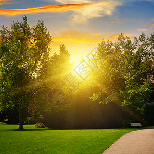 美丽的夏季公园和日落草坪高清图片素材
