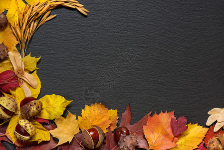 黑石背景下多色秋叶的边框十月高清图片素材