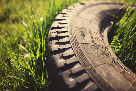 草地上的旧轮胎图片