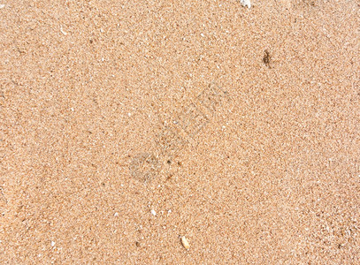 湿沙底潮湿的高清图片素材