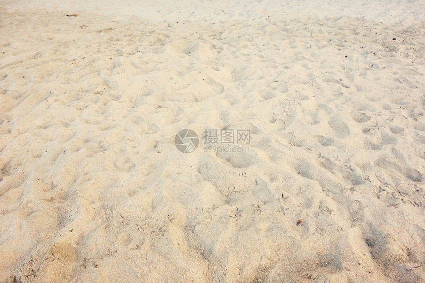 沙滩质图片