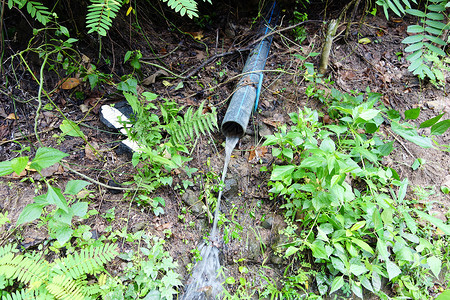 森林中的塑料水管图片