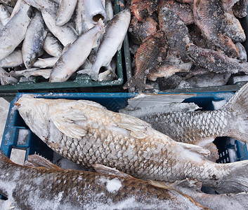 市场上的售卖的鱼背景图片